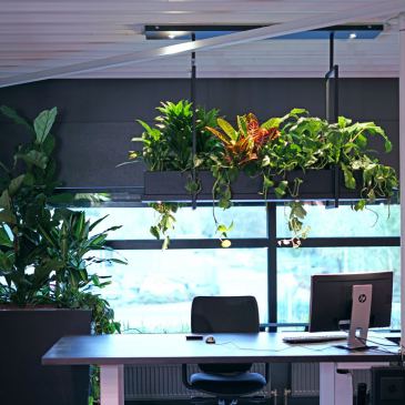 2800 - Oslo plant lamp