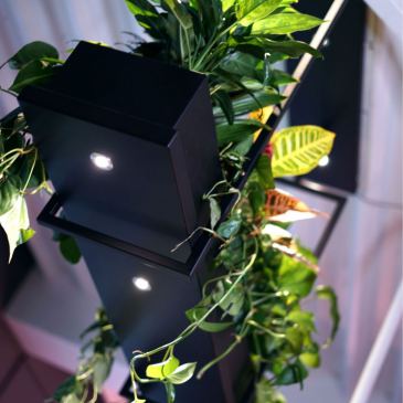 2800 - Oslo plant lamp