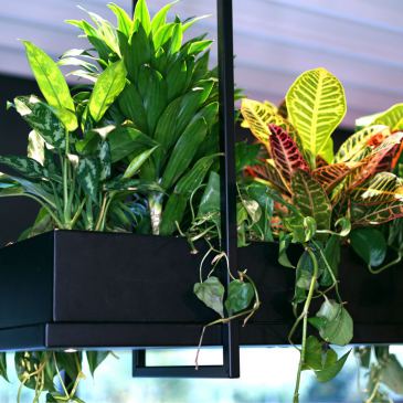 2800 - Oslo plant lamp